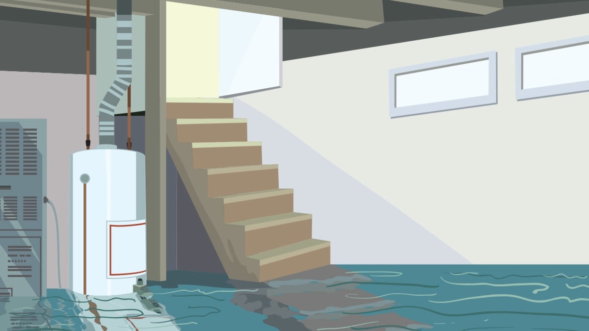 How to Prevent Mold Outbreak After Your Home Floods Consumer Reports